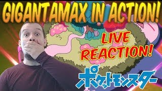 A WILD GMAX SNORLAX APPEARS Crasher LIVE Reacts Pocket Monsters Pokémon 2019  Episode 5 [upl. by Simsar]