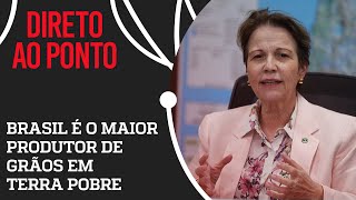 Tereza Cristina quotBrasil sempre precisará importar fertilizantesquot [upl. by Atat946]