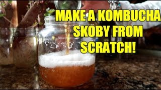 HOW TO MAKE YOUR OWN KOMBUCHA SCOBY EASY [upl. by Nileuqaj]