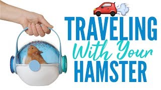 Traveling With Your Hamster [upl. by Alyhs908]