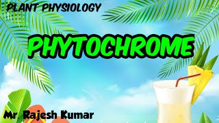 Phytochrome Plant PhysiologyCSIR NET in Hindi [upl. by Ettezzus]