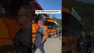 Train ride in Switzerland traveldiariesswitzerlandtravelguideswisstrainytshortshortfeedviral [upl. by Atiekram]