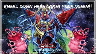 Metamorphosed Insect Queen l Kneel Down Here Comes Your Queen YuGiOh Duel Links [upl. by Noitsirhc529]