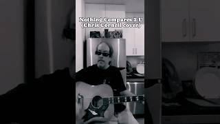 Nothing Compares 2 U Chris Cornell cover shorts coversong acoustic livemusic [upl. by Airrotal]