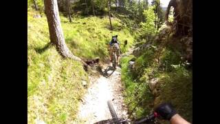 MTBTour Hochthörlehütte Ehrwald Trail [upl. by Sanburn438]