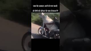 इमरजेंसी होगी कभी तो agriculture memes veterinary [upl. by Nedap35]