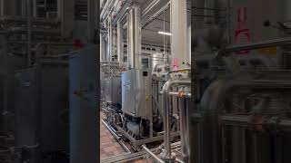 Primary Fermenters of Moscato in Canelli Piemonte domainehelena mtsthelenavineyards [upl. by Willard22]