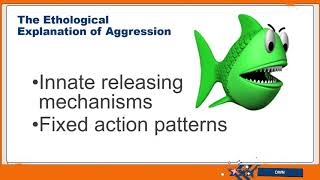 Ethological explanations of aggression lesson [upl. by Enomes465]