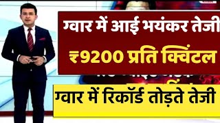 ग्वार का ताजा भाव 1 फरवरी 2024 आज ग्वार में कितनी आई तेजी देखें भाव gwar ka bhav guar seed price [upl. by Perlis206]