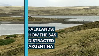 How the SAS used Stinger missiles to divert Argentina in the Falklands [upl. by Faythe]