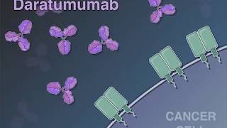 Treating Newly Diagnosed Myeloma [upl. by Iraam]