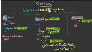 Antimalarial drugs [upl. by Aramad]