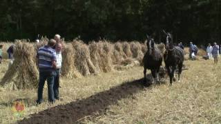 2010 Stoppelhaene Roggemaaiersdag Ploegen met paarden [upl. by Yorgo]