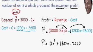 Optimization  Maximum Profit [upl. by Ayadahs204]