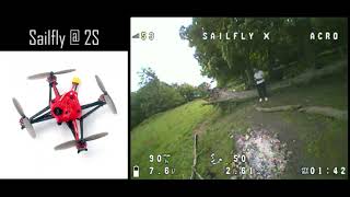 Sailfly vs FullSpeed Toothpick vs GEPRC Phantom  Flight Performance on 2S and 3S [upl. by Velvet]