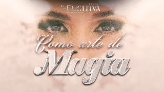 Como Arte De Magia VIDEO OFICIAL  La Fugitiva De Mike Miramontes [upl. by Tiffie]