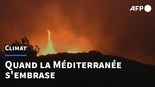 Les pays de la zone Méditerranée luttent contre chaleurs et incendies suffoquants  AFP [upl. by Acire]