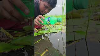 Unbelievable plastic Bottle Hook Fishing Techinques🐬 Bottle Hook Fishing challenge 2024 shorts [upl. by Mavilia]