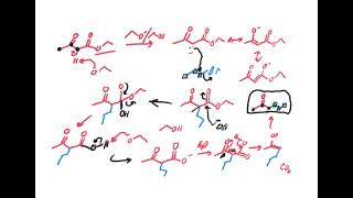 Acetoacetic ester synthesis [upl. by Anaili]