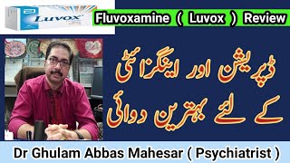 Fluvoxamine  Luvox  tablets uses in Urdu  Fluvoxamine side effects [upl. by Essilec628]