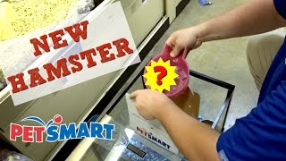 GETTING MY NEW HAMSTER AT PETSMART [upl. by Adelle]