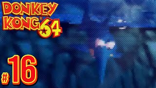 Donkey Kong 64  Out of Bounds Again  PART 16 [upl. by Yht]