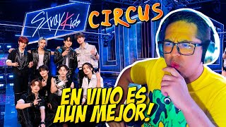 Cantante de Metal Reacciona a Stray Kids  Circus EN VIVO [upl. by Ibrab131]