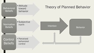 Theory of Reasoned Action and Planned Behavior  LearnPsychology [upl. by Aimahs]