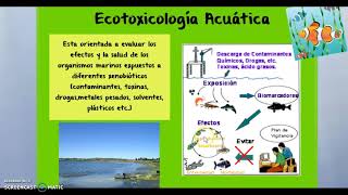 ECOTOXICOLOGIA [upl. by Gretta]