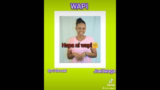 Joel lwaga wapi short lyrics [upl. by Rigby]