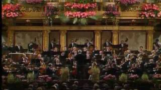 Johann Strauss BAUERNPOLKA [upl. by Valli78]