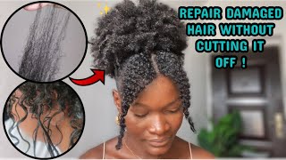 HOW TO REPAIR DAMAGED HAIR AT HOME without cutting it off [upl. by Jueta]