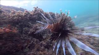 Snuba Diving in San Juan Puerto Rico [upl. by Elades]