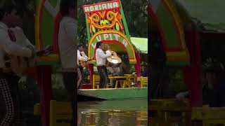 Xochimilco tour 2024 travel mexico mexicocity mexicotravelguide [upl. by Alleroif212]