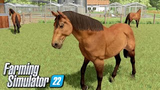 Hodowla koni  Farming Simulator 22  39 [upl. by Houston]