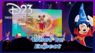 D23 Ultimate Fan Event  What to Expect  Anaheim California 2024 [upl. by Thomasine]