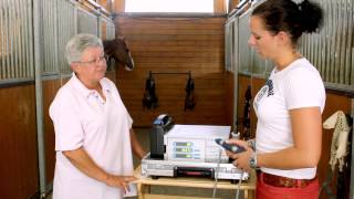 MASTERPULS  Equine Shockwave Therapy [upl. by Carvey]