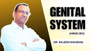 Histology of quotGenital Systemquot Explained in Hinglish by Dr Rajesh Kaushal  213 [upl. by Ahtan]