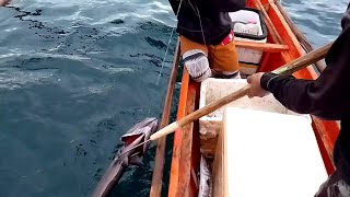 EP 8 Catching Liwit Puti may Oilfish at Barracuda pa [upl. by Hall]