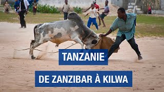 Tanzanie un voyage inattendu  Zanzibar  Kilwa  Pemba  Documentaire voyage  AMP [upl. by Assennav]