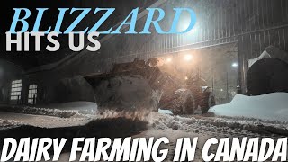 Dairy Gets Hit By Gnarly Blizzard [upl. by Arimas]