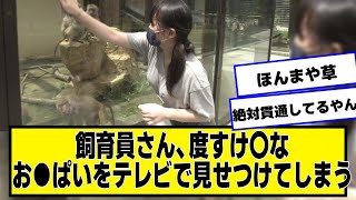 飼育員さん、テレビで見せつけてしまう【ネットの反応】美女bra [upl. by Trina]