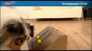 Dog Activity Kicker Intelligenzspielzeug Interaktives Hundespielzeug [upl. by Eldwon]