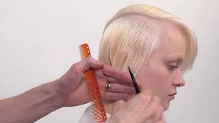 EXCLUSIVE In Depth Sassoon Academy Cut and Colour Tutorial Step by Step [upl. by Lucienne207]