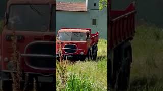 Il Bestione camion Fiat 682 N4 tre assi Viberti fiat682 fiat682viberti [upl. by Jolene]