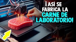 ¿Cómo Se Hace La Carne De Laboratorio Proceso En Laboratorio [upl. by Barabas]