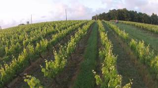 Drone  Château Mercier Côtes de Bourg Bordeaux [upl. by Anoyi]