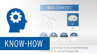 Zolid HT Preshades – Shading Tutorial Turn 7 into 16  Basic Esthetics Technique A1A2 [upl. by Tailor]