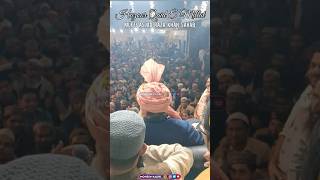 😍Huzoor Qaid E Millat Mufti Asjad Raza Khan Sahab shorts youtubeshorts asjadraza muftiasjadraza [upl. by Strohl761]