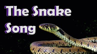 The Snake Song  Reptile Raps [upl. by Ecnirp]